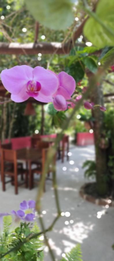 Vila Araticum Praia 圣安德烈 外观 照片