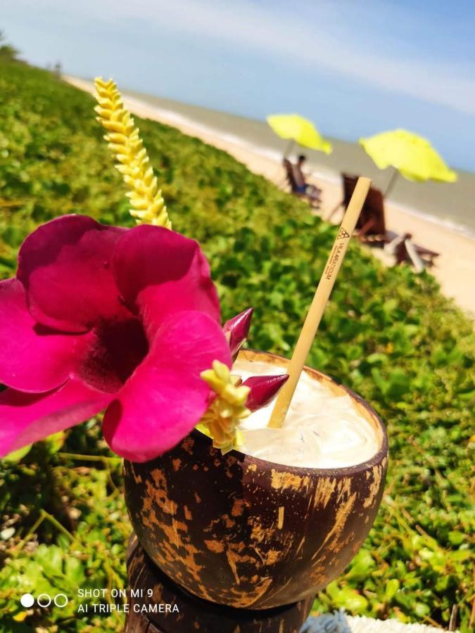 Vila Araticum Praia 圣安德烈 外观 照片