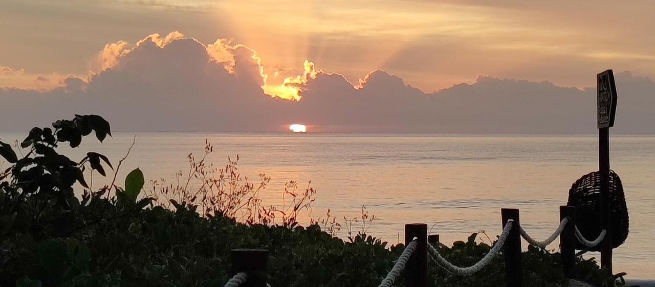 Vila Araticum Praia 圣安德烈 外观 照片